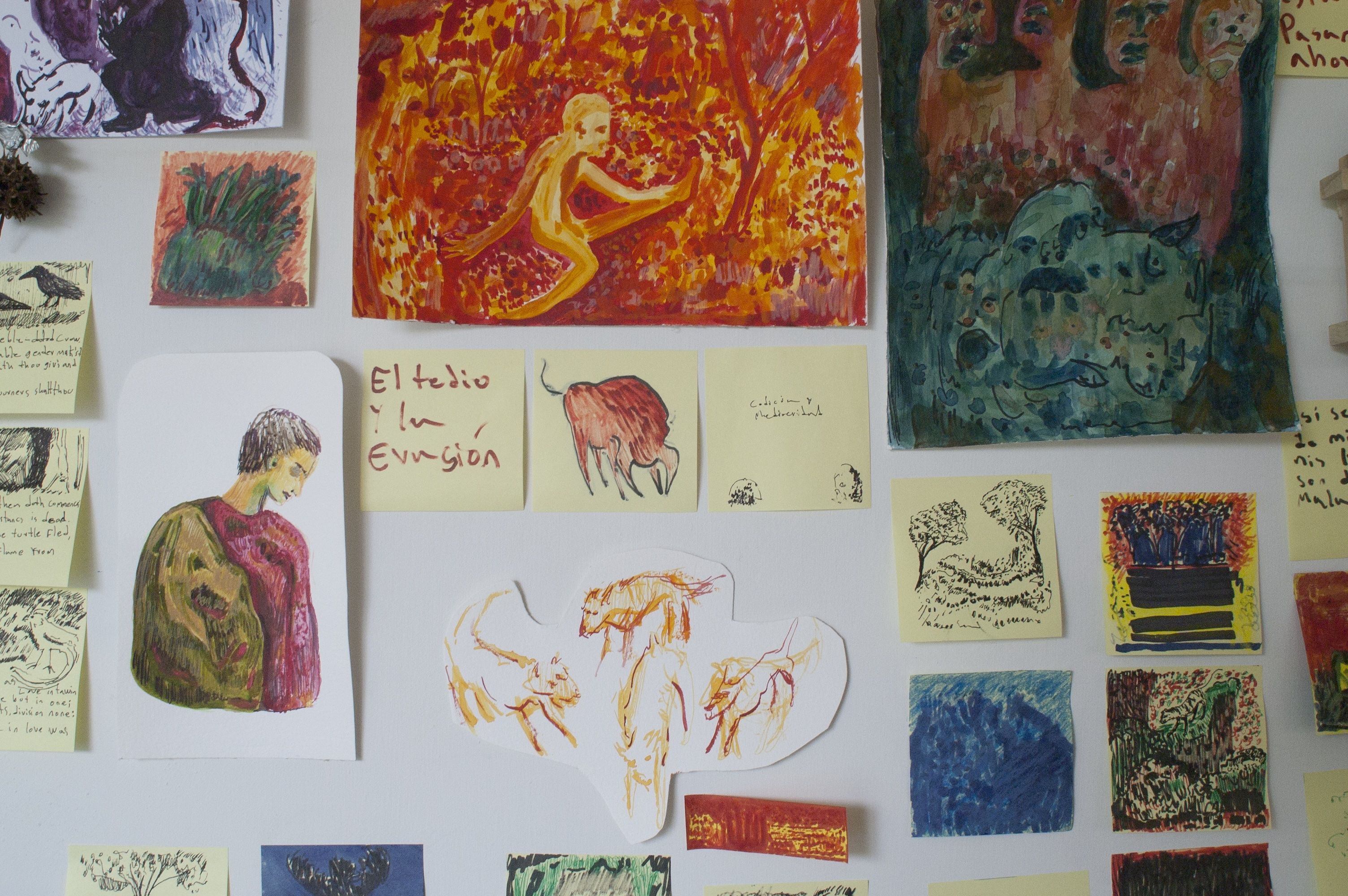 pared 5 